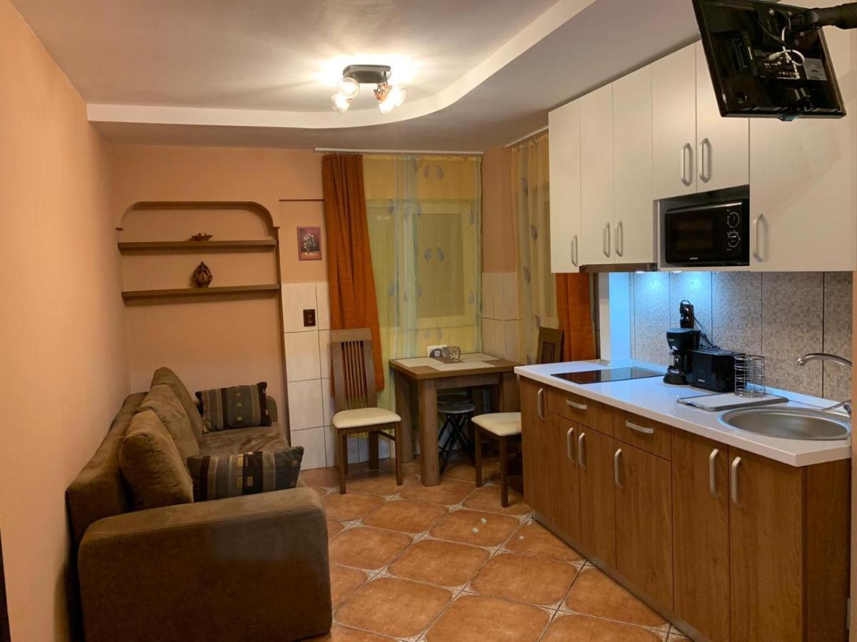 Garsoniera Ania Baile Felix Apartment ภายนอก รูปภาพ