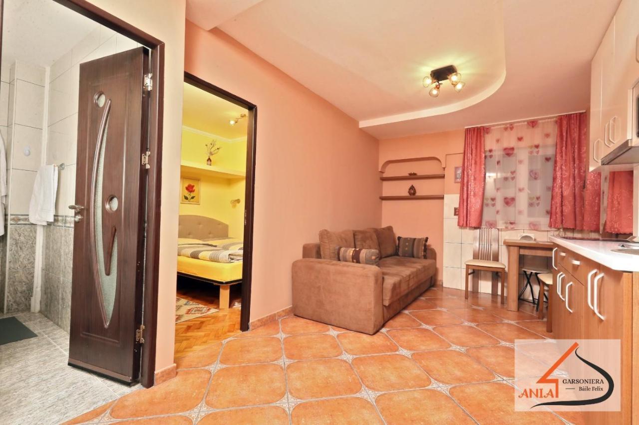 Garsoniera Ania Baile Felix Apartment ภายนอก รูปภาพ